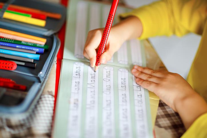 The Green Party has proposed removing homework in primary schools The Green Party has proposed removing homework in primary schools