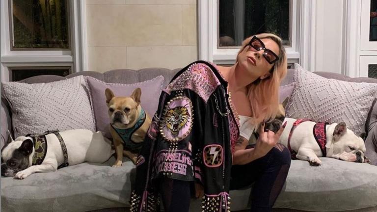 Gunman accused of stealing Lady Gaga’s dogs is mistakenly freed from jail Gunman accused of stealing Lady Gaga’s dogs is mistakenly freed from jail