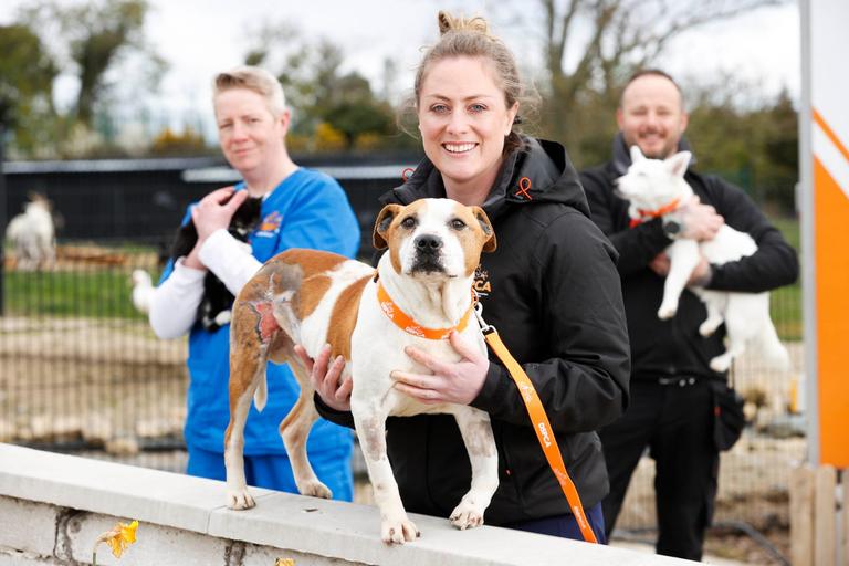New RTÉ series goes behind the scenes at the DSPCA and it looks ridiculously adorable New RTÉ series goes behind the scenes at the DSPCA and it looks ridiculously adorable