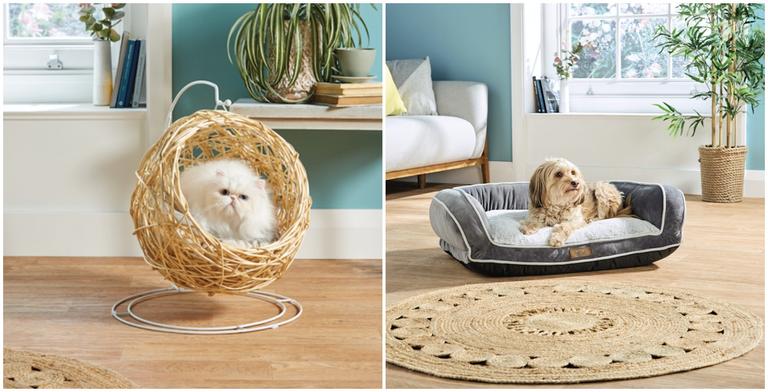 How paw-fect! Check out these eco-friendly pet buys that are coming to Aldi How paw-fect! Check out these eco-friendly pet buys that are coming to Aldi