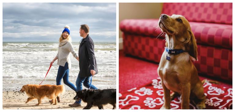Fur babies welcome! 8 dog-friendly hotels in Northern Ireland to book into this summer Fur babies welcome! 8 dog-friendly hotels in Northern Ireland to book into this summer