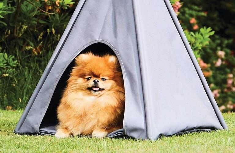 Aldi is selling an outdoor teepee for your dog Aldi is selling an outdoor teepee for your dog