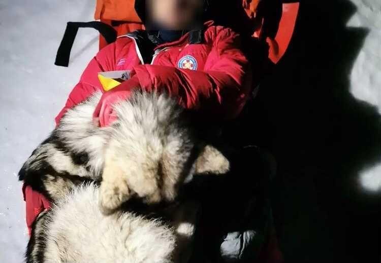 Hero dog saves hiker’s life by lying on top of him to keep him warm