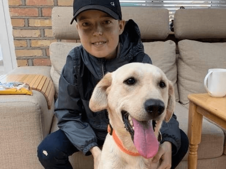 New charity initiative will bring dogs to visit sick children in hospital New charity initiative will bring dogs to visit sick children in hospital