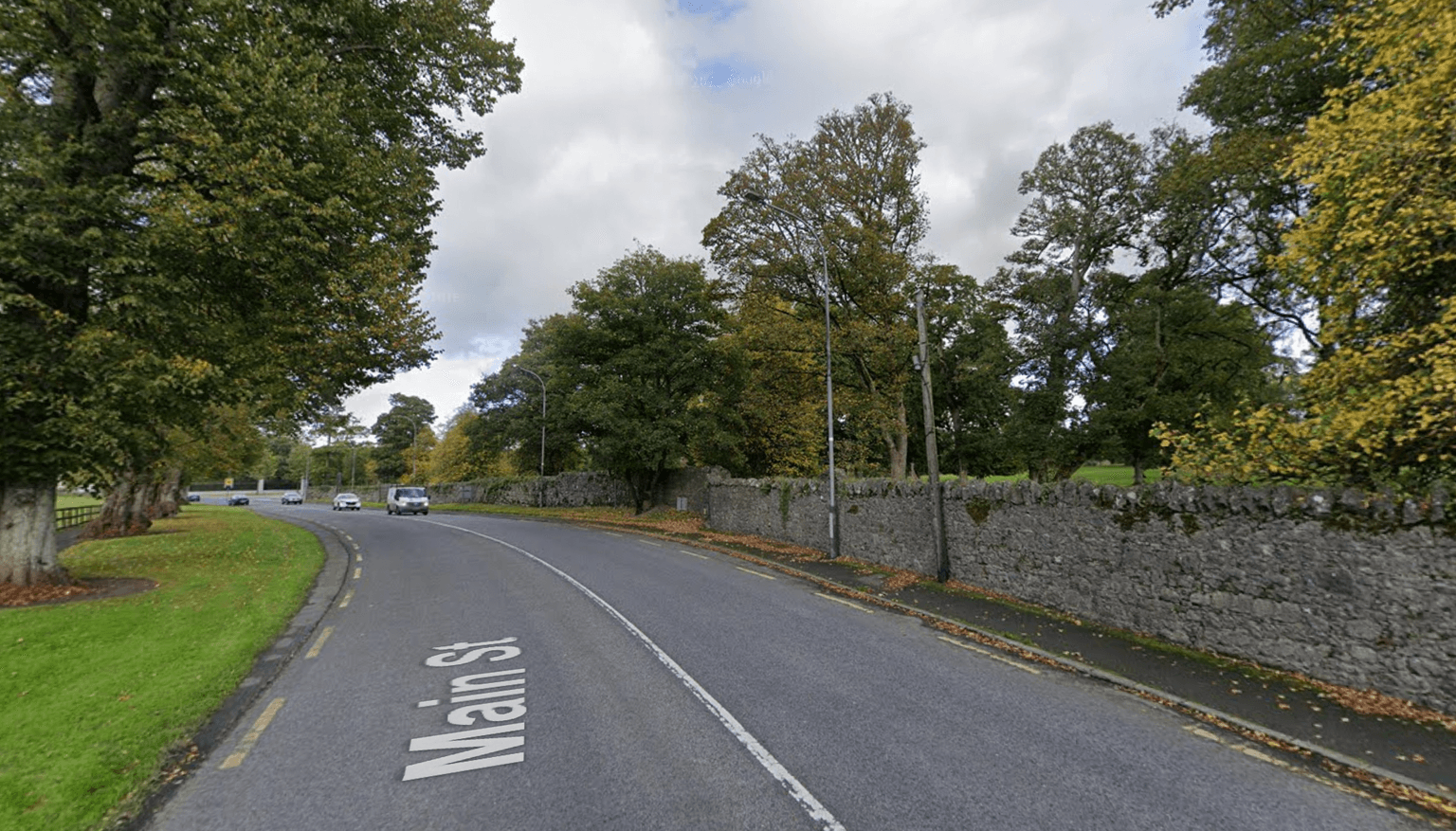 12 year old driver dies after collision in Limerick