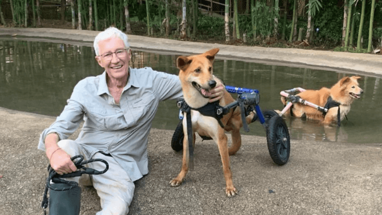 Paul O’Grady’s husband shares heartfelt tribute on his ‘heavenly’ birthday Paul O’Grady’s husband shares heartfelt tribute on his ‘heavenly’ birthday