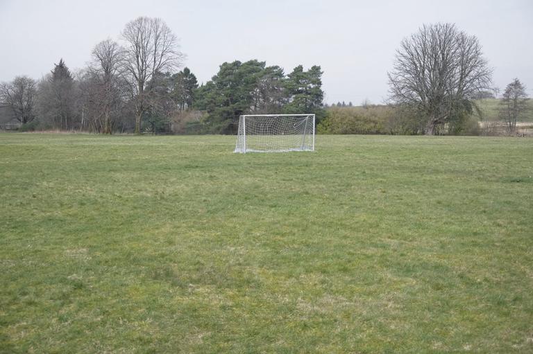 DSPCA urges families to remove goal posts from gardens each night amid rise in injuries DSPCA urges families to remove goal posts from gardens each night amid rise in injuries