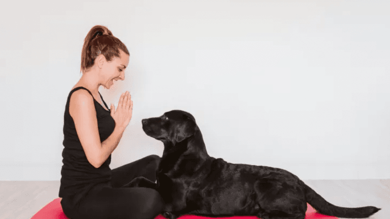 The London dog yoga trend has finally landed in Dublin The London dog yoga trend has finally landed in Dublin