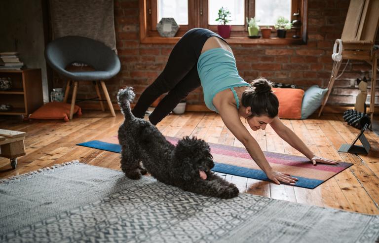 Dog yoga has landed in Dublin- but what exactly is it? Dog yoga has landed in Dublin- but what exactly is it?