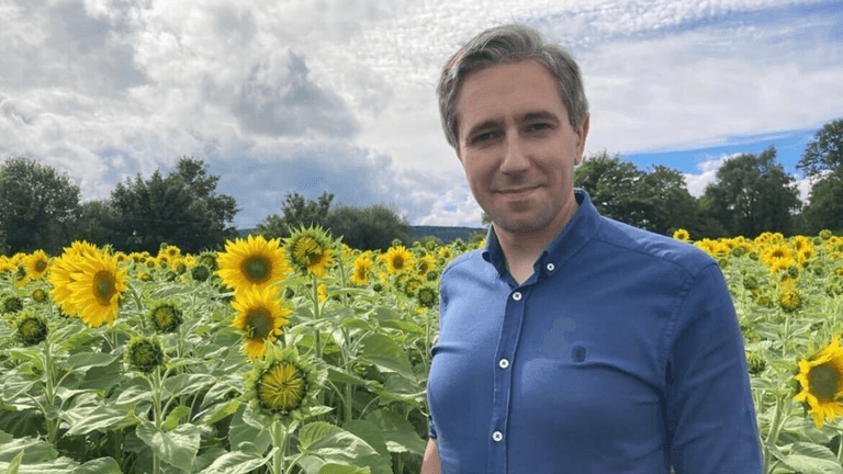 Everything you need to know about TikTok TD Simon Harris Everything you need to know about TikTok TD Simon Harris