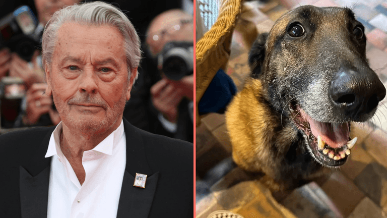 Family of late French actor refuse his final wish to have his dog euthanised Family of late French actor refuse his final wish to have his dog euthanised