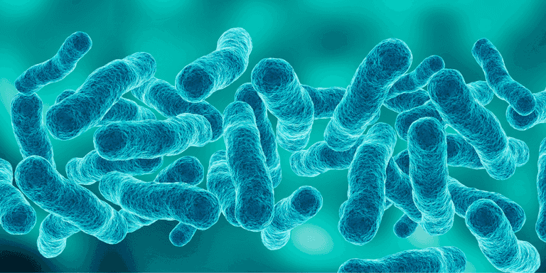 World Sepsis Day: HSE highlights the signs and symptoms amid rising cases World Sepsis Day: HSE highlights the signs and symptoms amid rising cases