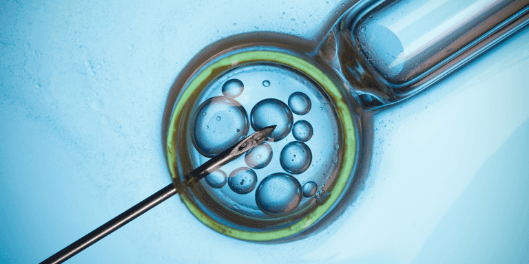 Public funding for IVF treatment ‘will be expanded in budget 2025’ Public funding for IVF treatment ‘will be expanded in budget 2025’