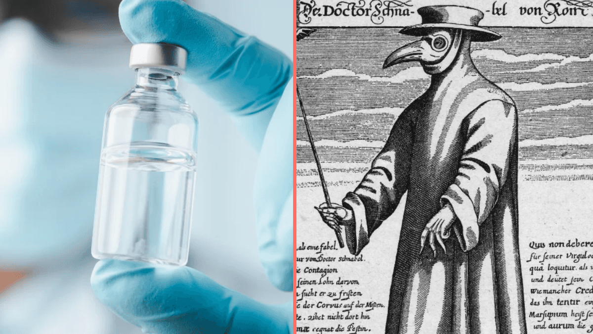Black Death vaccine in development amid fears disease could make horrifying return