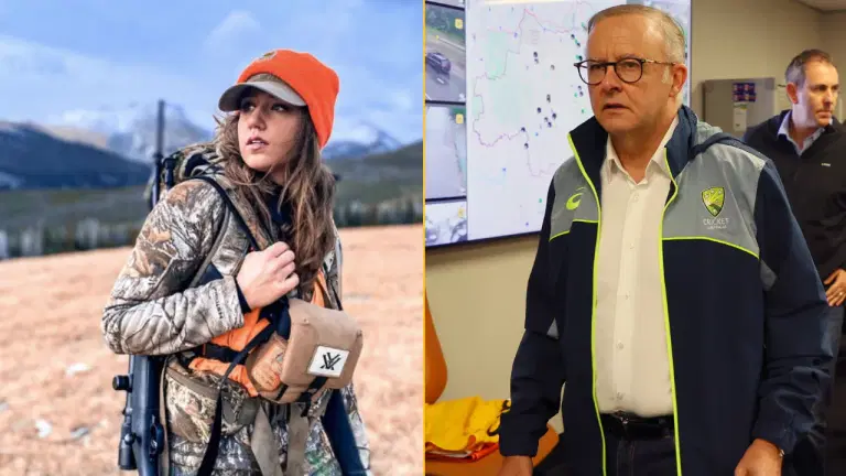 Influencer who snatched wombat from mother says she was just trying to move it from road Influencer who snatched wombat from mother says she was just trying to move it from road