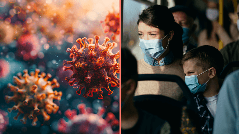 Scientist who predicted Covid says what source of next pandemic will be Scientist who predicted Covid says what source of next pandemic will be