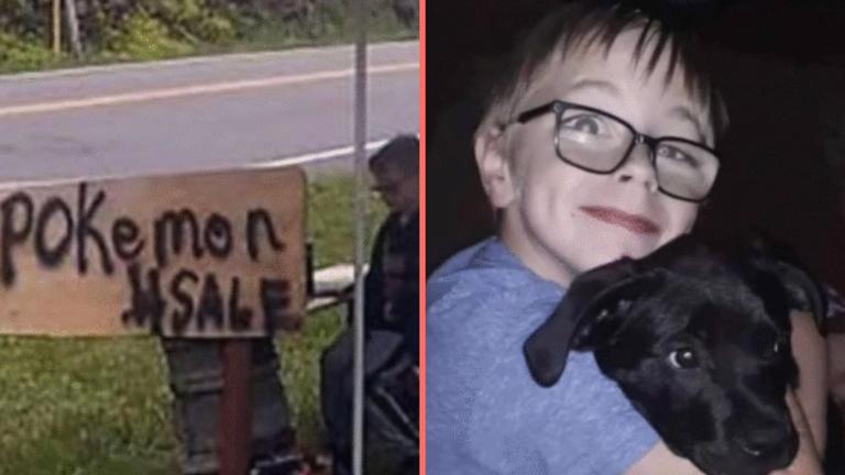 Boy, 8, sells his Pokemon collection to save his dog’s life Boy, 8, sells his Pokemon collection to save his dog’s life