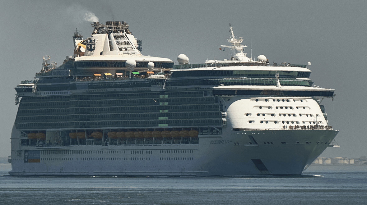 Man dies after falling overboard on cruise ship