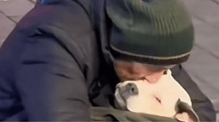 Homeless man rocks his dog to sleep every night saying his dog struggles to adjust to homelessness Homeless man rocks his dog to sleep every night saying his dog struggles to adjust to homelessness
